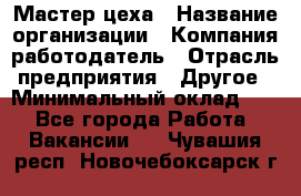 Мастер цеха › Название организации ­ Компания-работодатель › Отрасль предприятия ­ Другое › Минимальный оклад ­ 1 - Все города Работа » Вакансии   . Чувашия респ.,Новочебоксарск г.